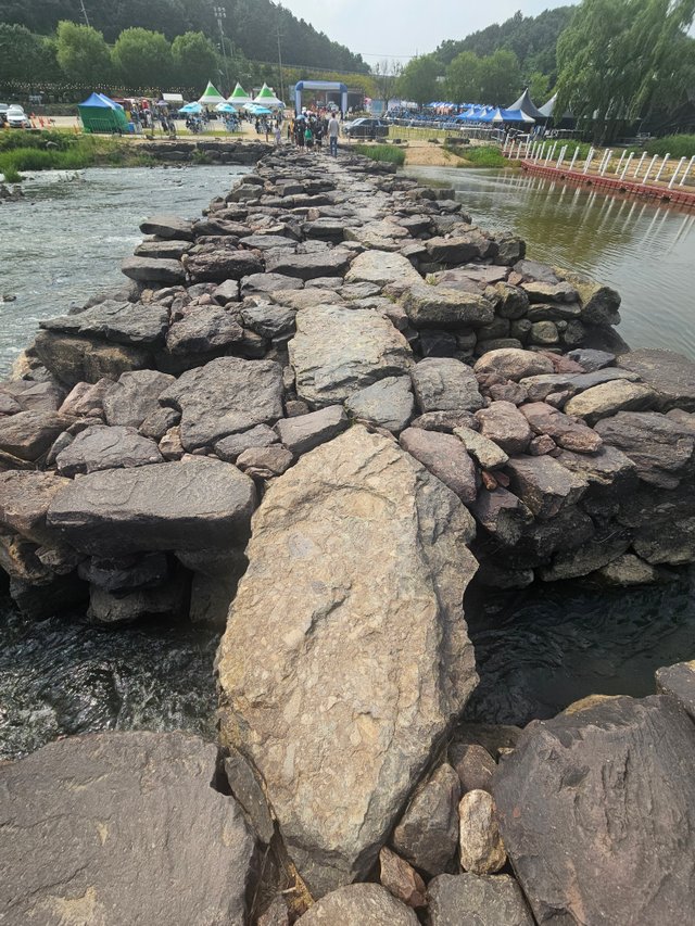 1000018243.jpg