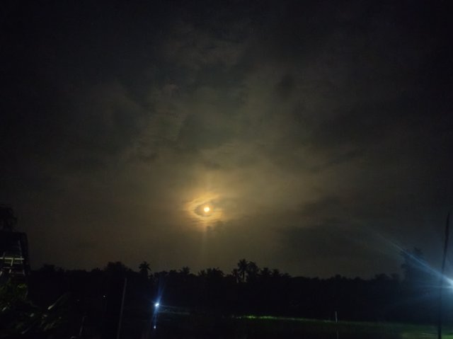 IMG_20250808_192652.jpg