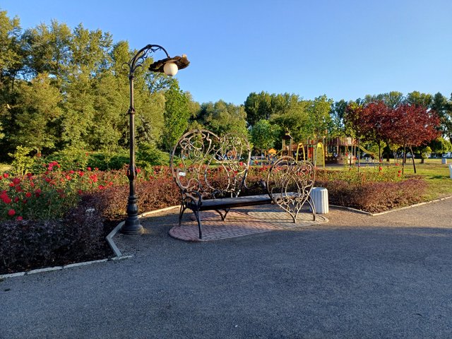20250825_071103.jpg