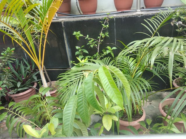 IMG_20250605_102748.jpg
