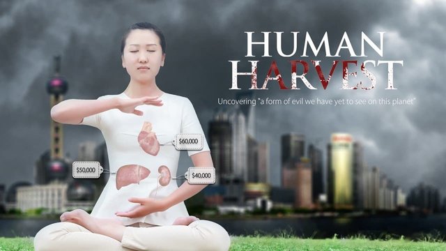 humanharvest.jpg