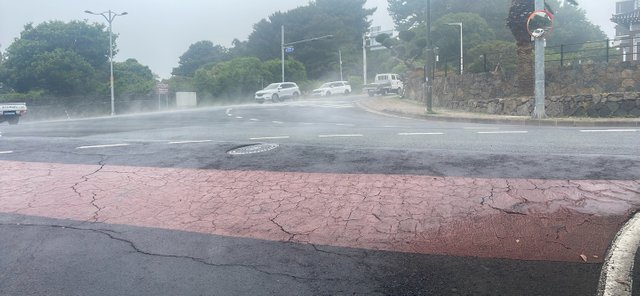 KakaoTalk_20250520_164614345.jpg