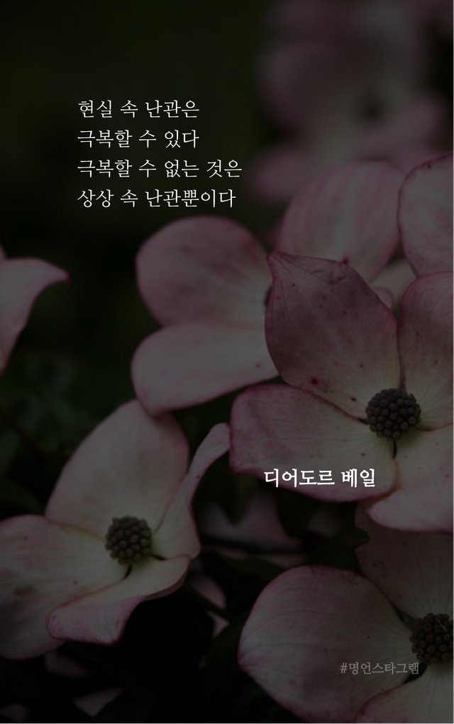 app_flutter2021-04-28 05_17_56.430421.png.jpg