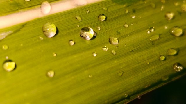 IMG_20251027_084325.jpg