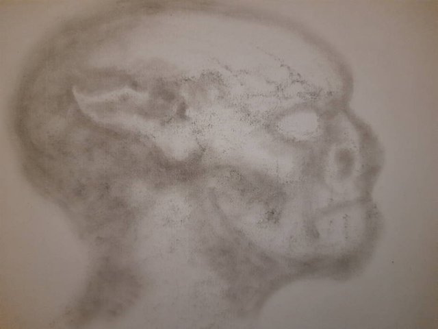 20250712_104658.jpg