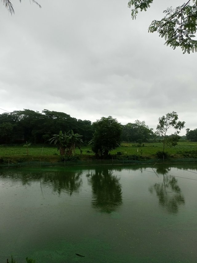 IMG20250614111342.jpg