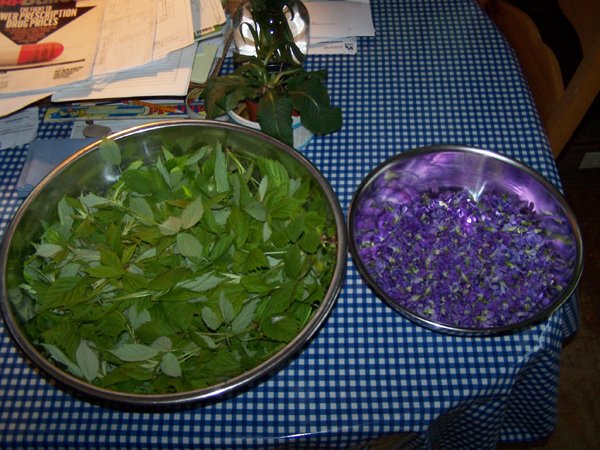 Dehydrating raspberry leaves and violets crop May 2019.jpg
