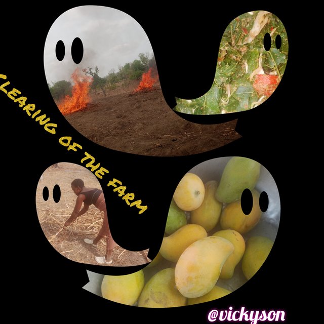 InCollage_20250403_205405940.jpg