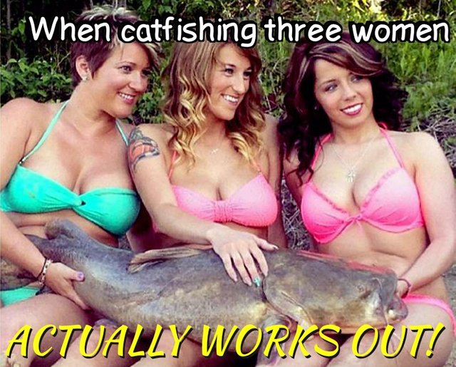 catfish_fishie_lovies.jpg