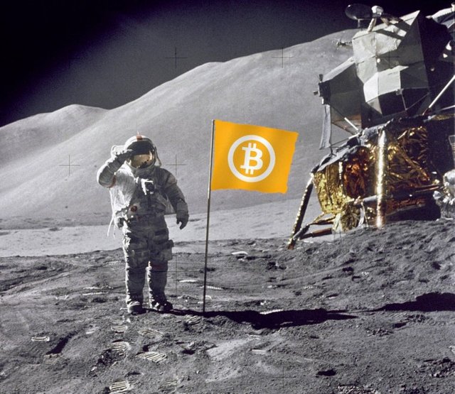 Bitcoin to the moon 2021.jpeg