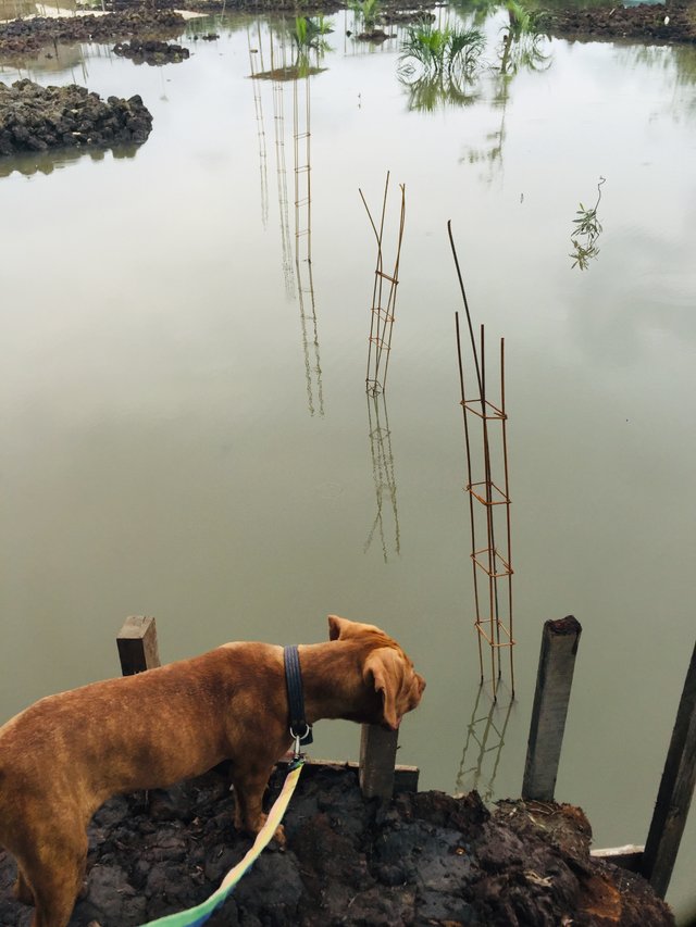 5CF4D5F3-35B9-481C-A444-24C41195E7C1.jpeg