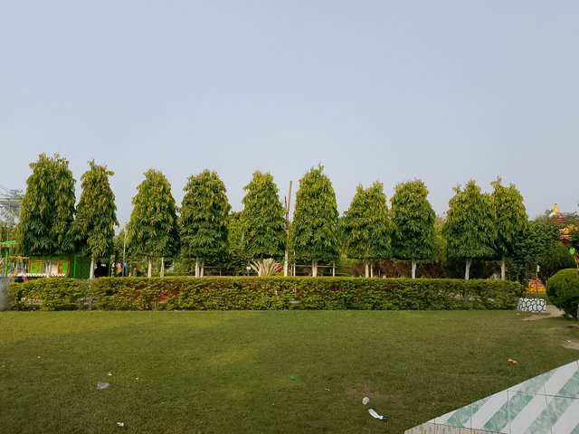 1000041028.jpg