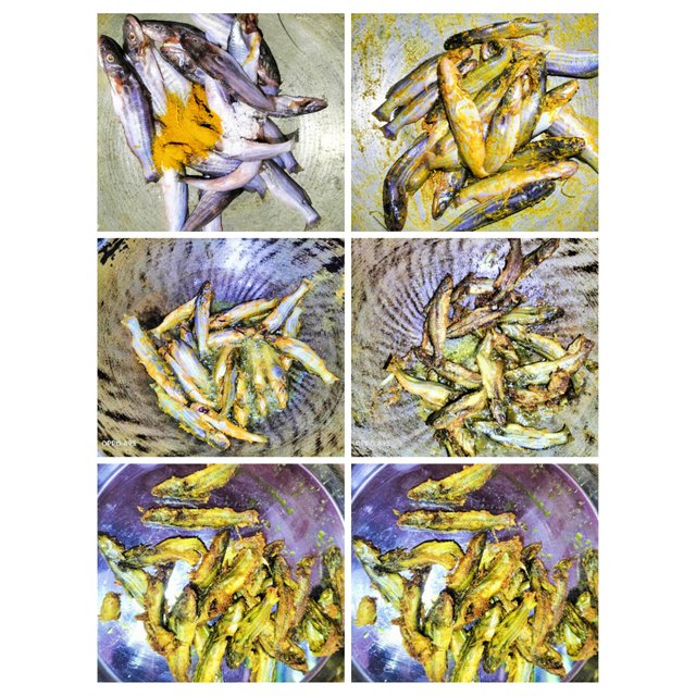 PhotoCollage_1752847091273.jpg