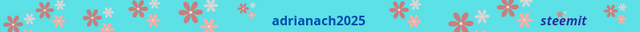adrianach2025_20250531_132207_0000.png