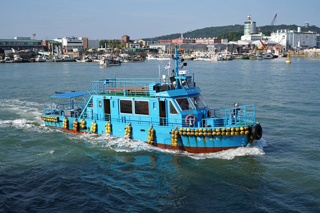 b-DSC04960.JPG