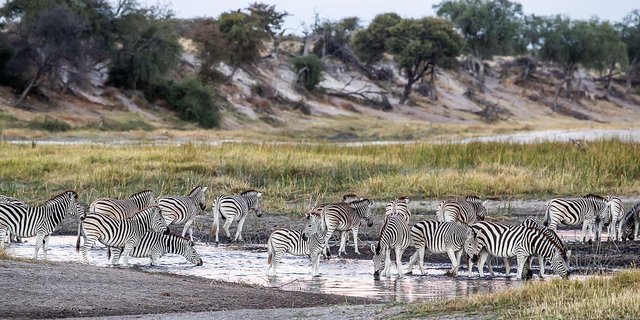 Makgadikgadi Salt Pans.jpg