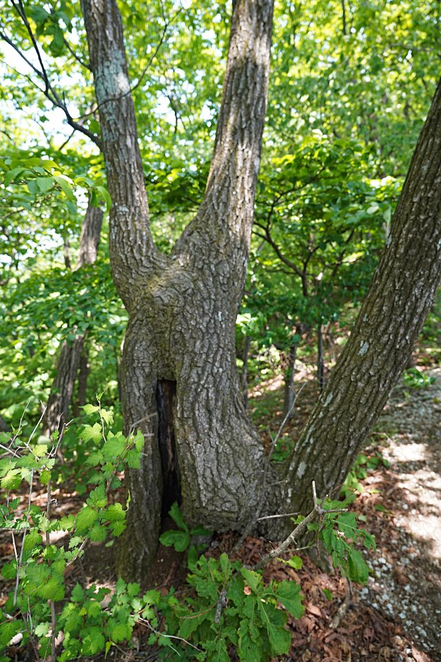 b-DSC04116.JPG