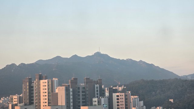 1000131827.jpg