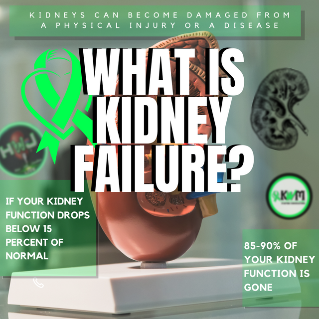 wHAT IS KIDNEY FAILURE 2.png