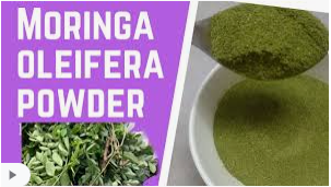 organic moringa oleifera.png