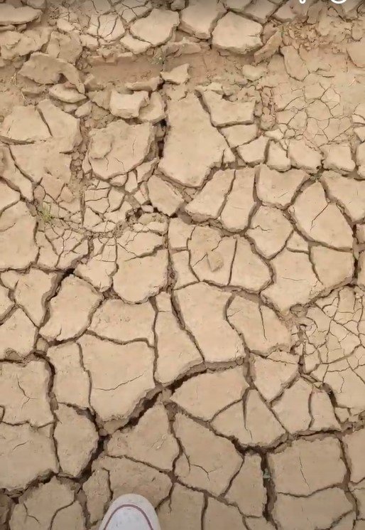 cracky ground2.jpg