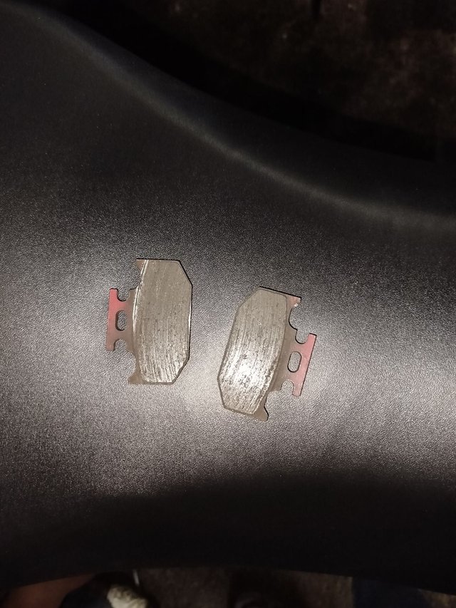 1000032095.jpg
