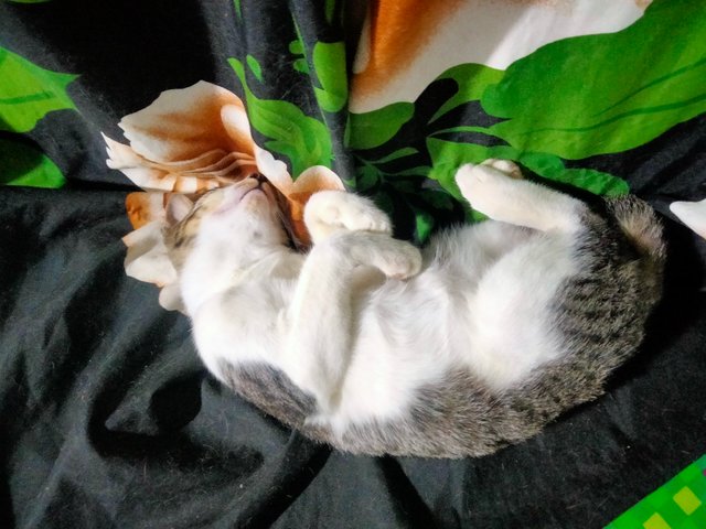 IMG20250718224108.jpg