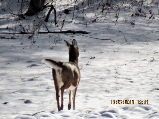 IMG_0169.JPG