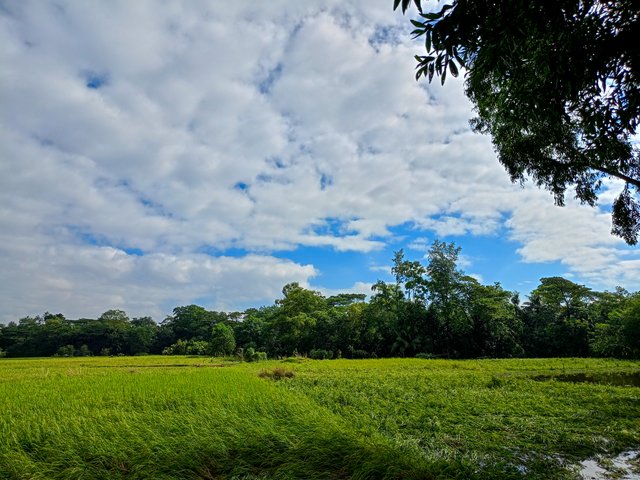 IMG20231119101219.jpg