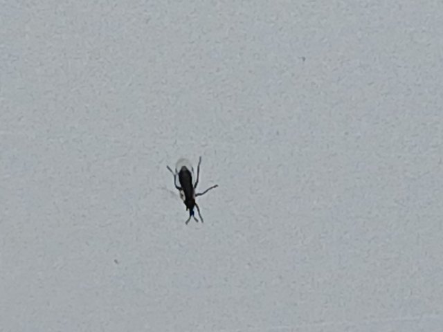 20250711_143034.jpg