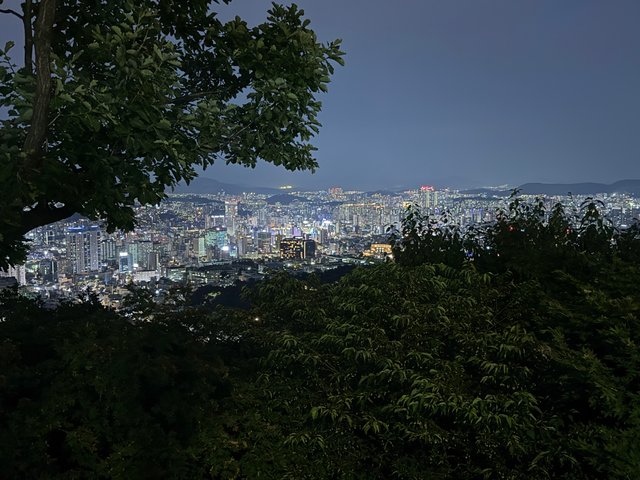 IMG_7346.jpeg