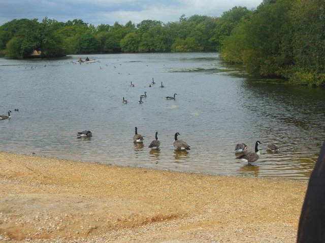 DSCN2057.JPG