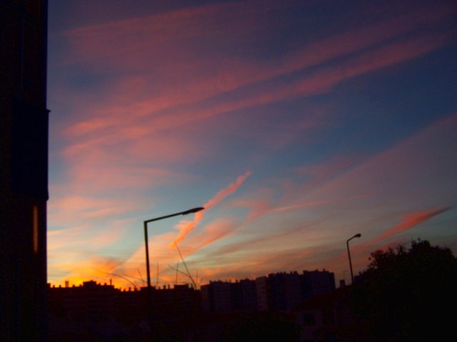 100_2106 2212 steemit.JPG