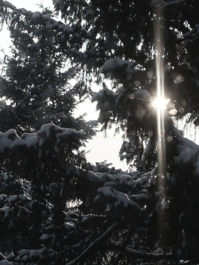 2020-12-09-17-52-28.jpg