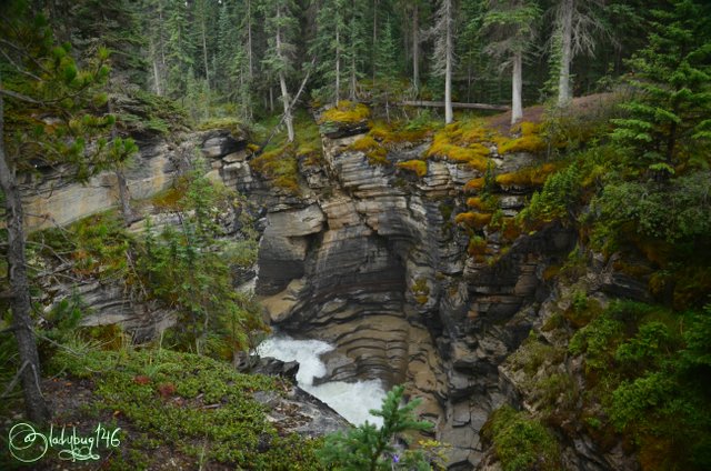 athabasca falls10.jpg