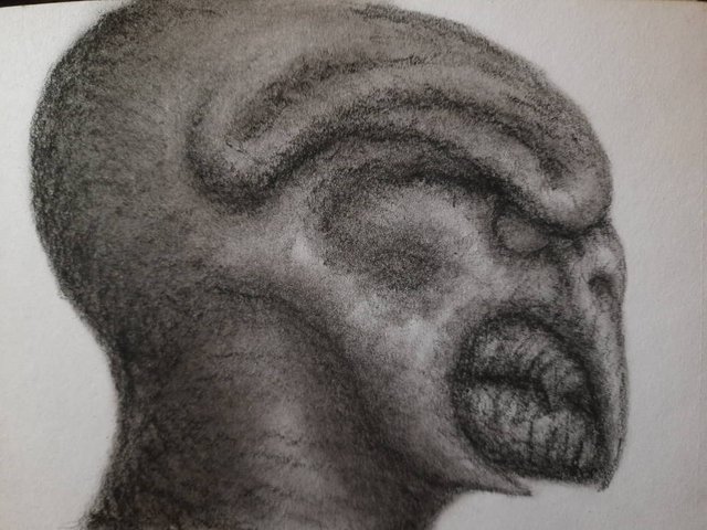20250418_112842.jpg