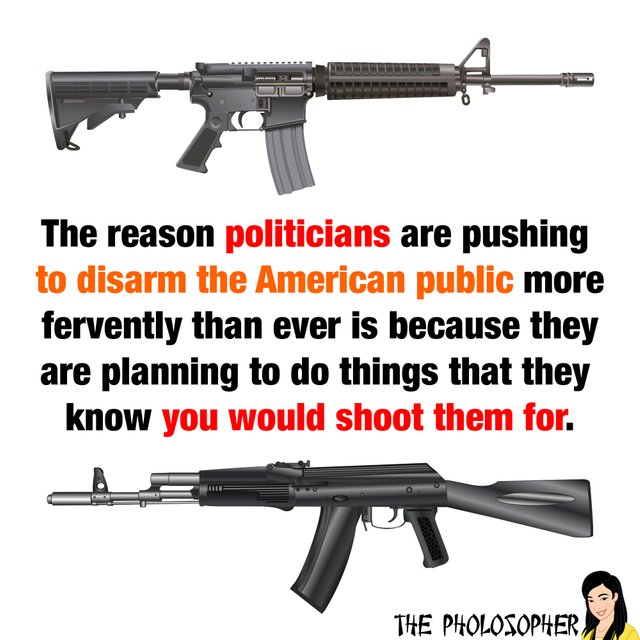 disarm american public.jpg