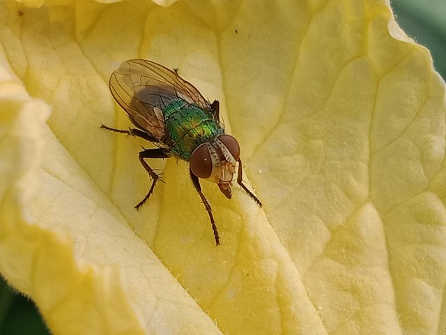 IMG20241106160112.jpg