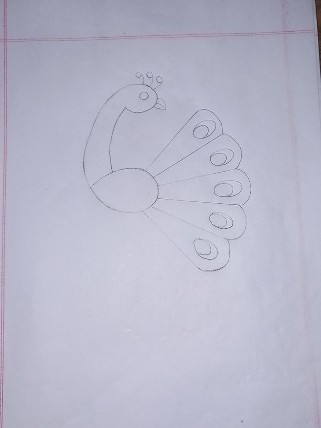 20250624_115638.jpg