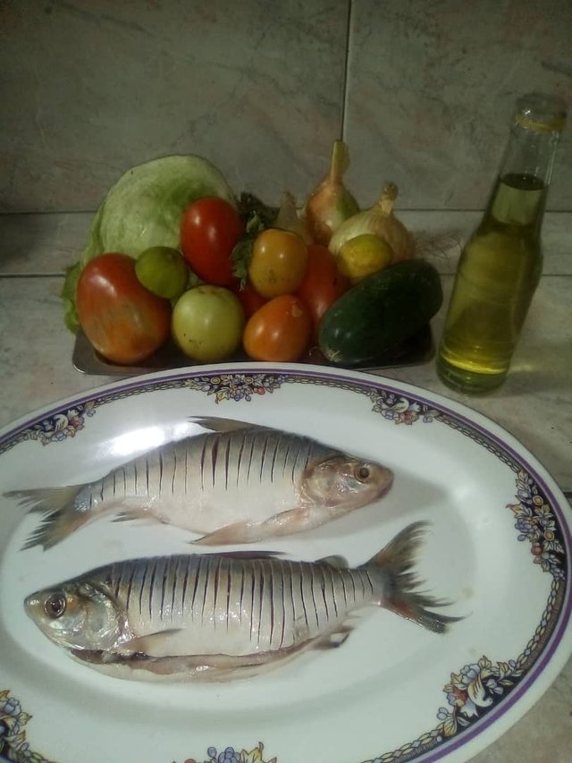 WhatsApp Image 2021-04-11 at 4.26.32 PM (1).jpeg