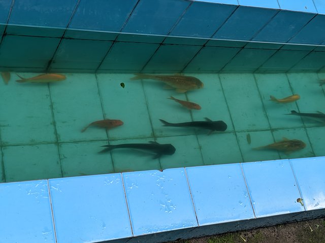 1000035647.jpg