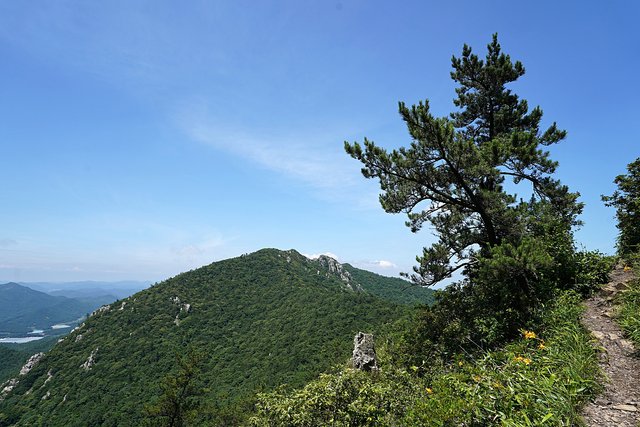 b-DSC08197.JPG