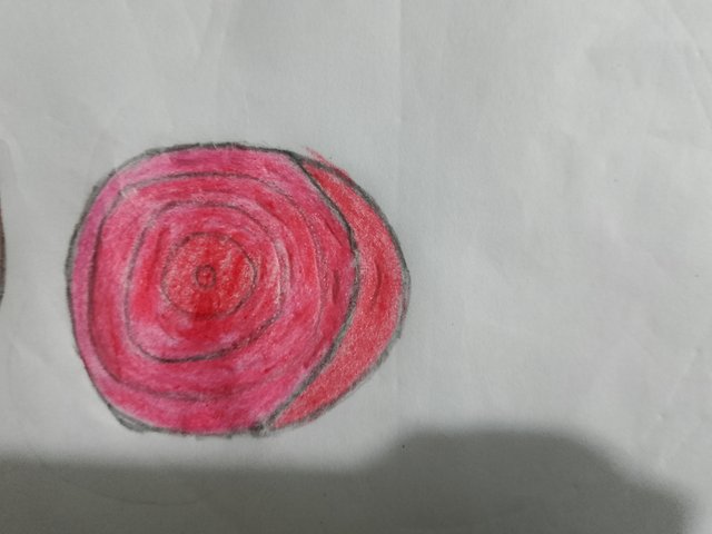 1000018584.jpg