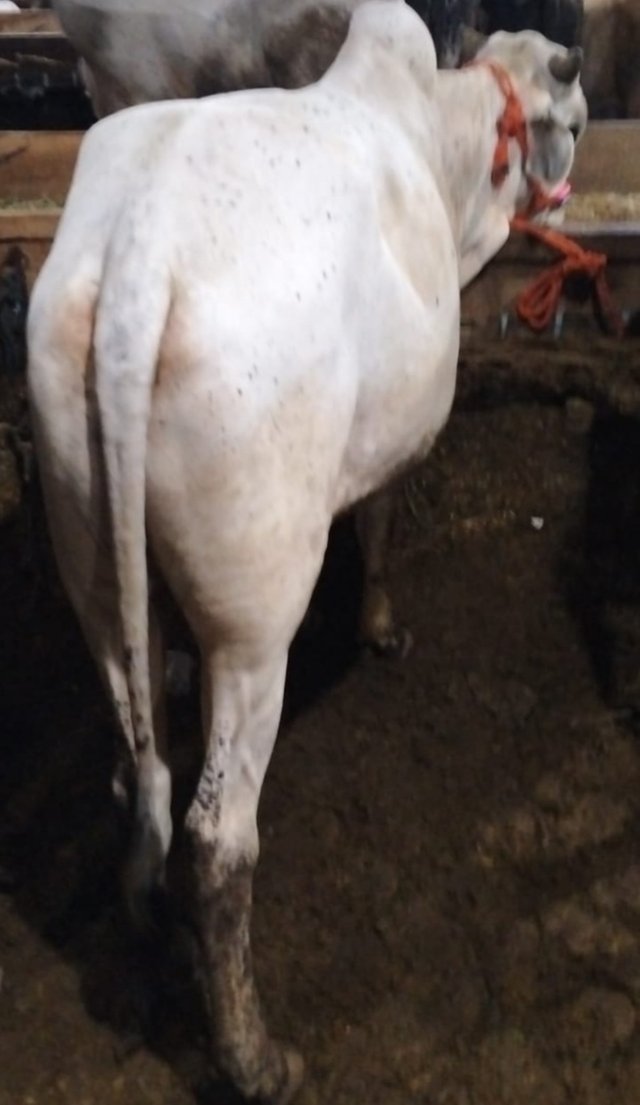 20250601_103411.jpg