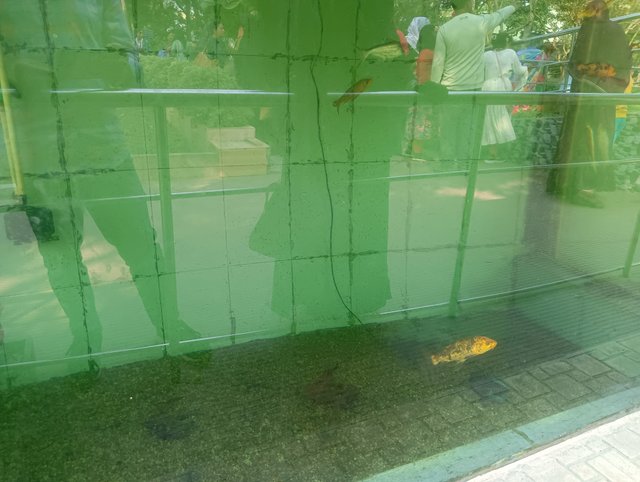 IMG20250211143840.jpg