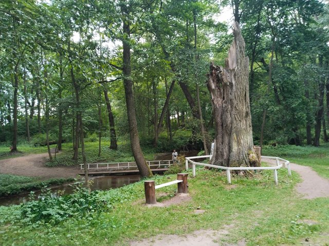 IMG_20250706_172048.jpg