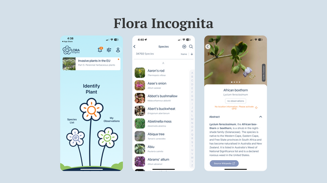 Flora Incognita.png