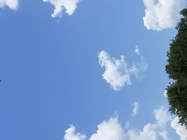 20180808_134612.jpg