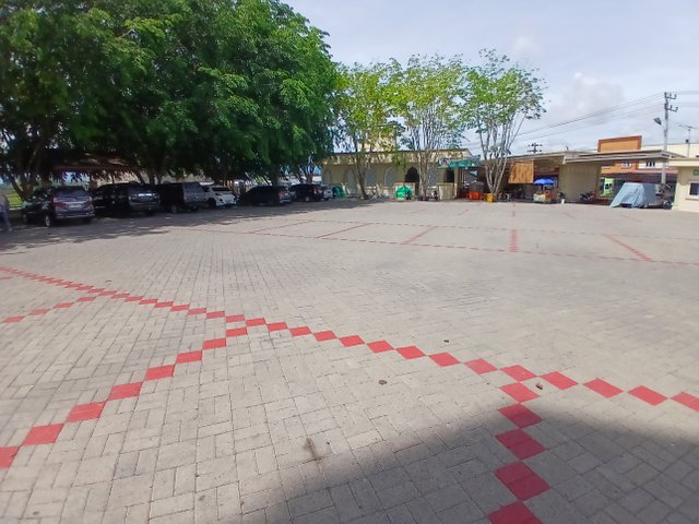 20250510_110153.jpg