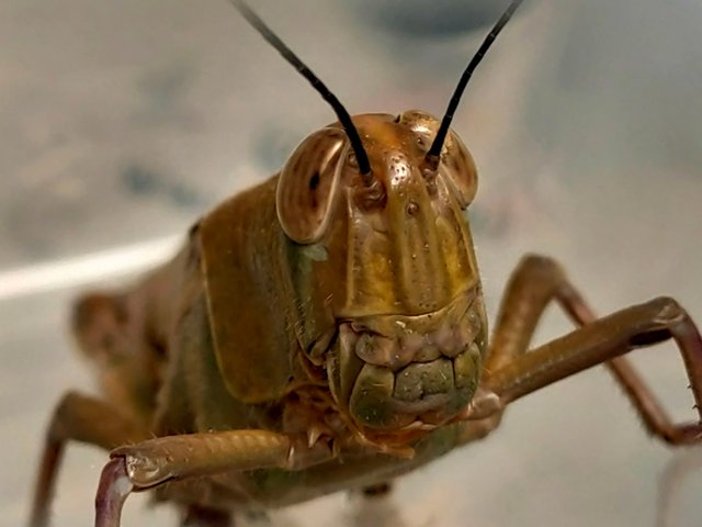 IMG20230924131632.jpg